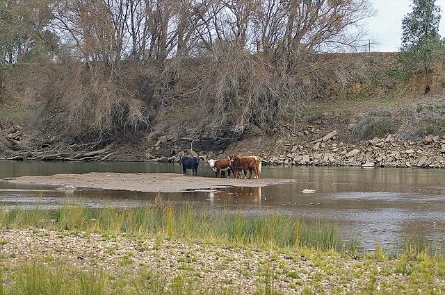 Low water levels resulting from drought conditions in Australia