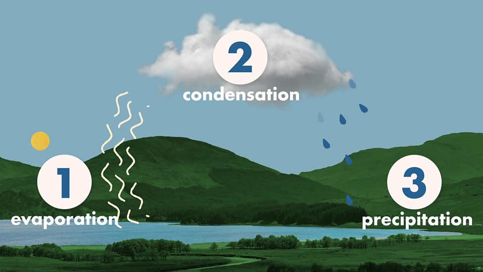 Act 2: Condensation and Cloud Formation