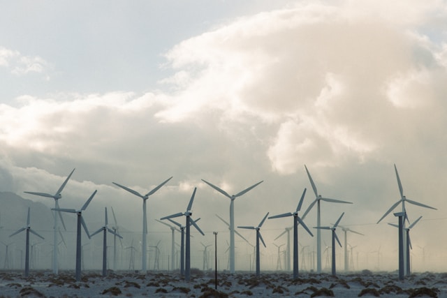 Wind is a renewable energy powerhouse