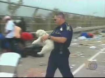 Snowball the dog carried away from the owner during the Hurricane Katrina evacuation