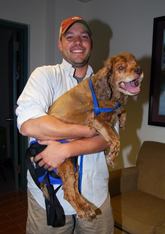 A dog named Sugar survived the Joplin Tornado in 2011