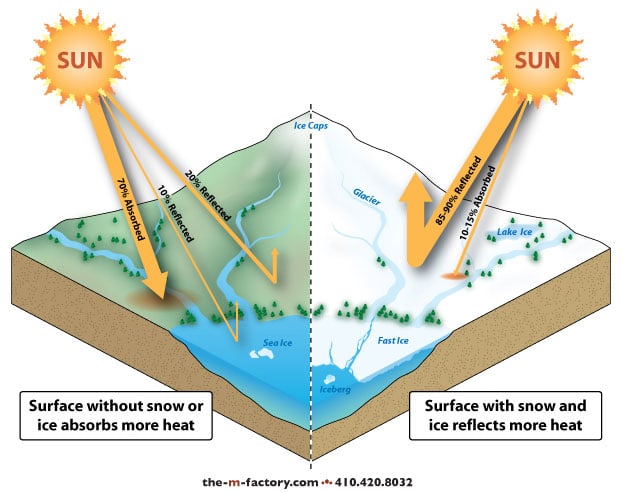 Reflective Properties of Snow