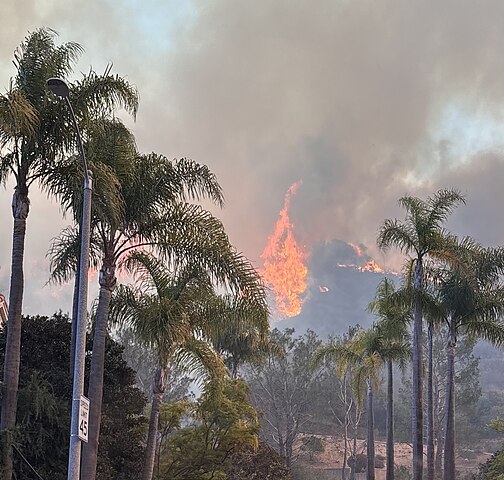 California Palisades fire, January 2025